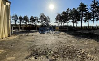 Terrain à vendre à Thiverval-Grignon - 54 250 m²