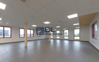 Entrepôt à louer à Le Thillay - 12 632 m²